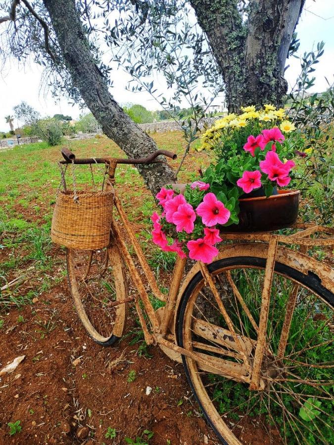 Palacca, Trullo Salentino อันดราโน ภายนอก รูปภาพ