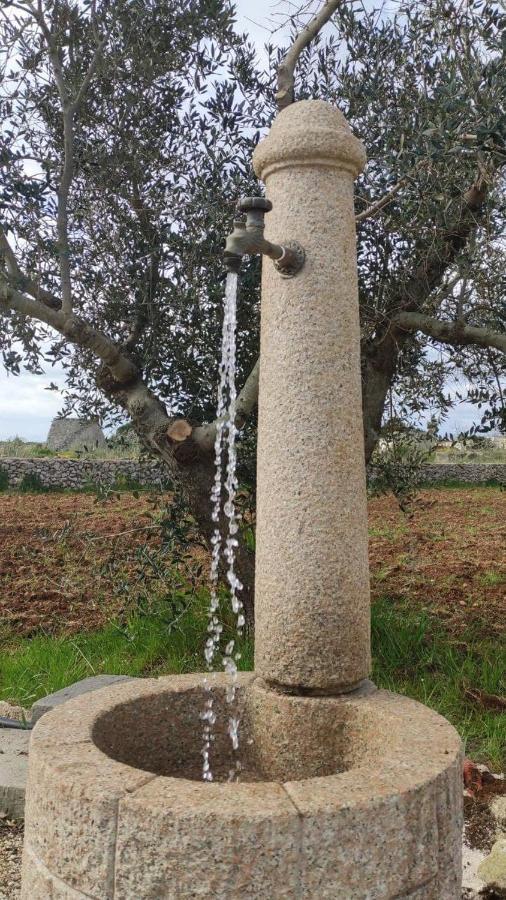 Palacca, Trullo Salentino อันดราโน ภายนอก รูปภาพ