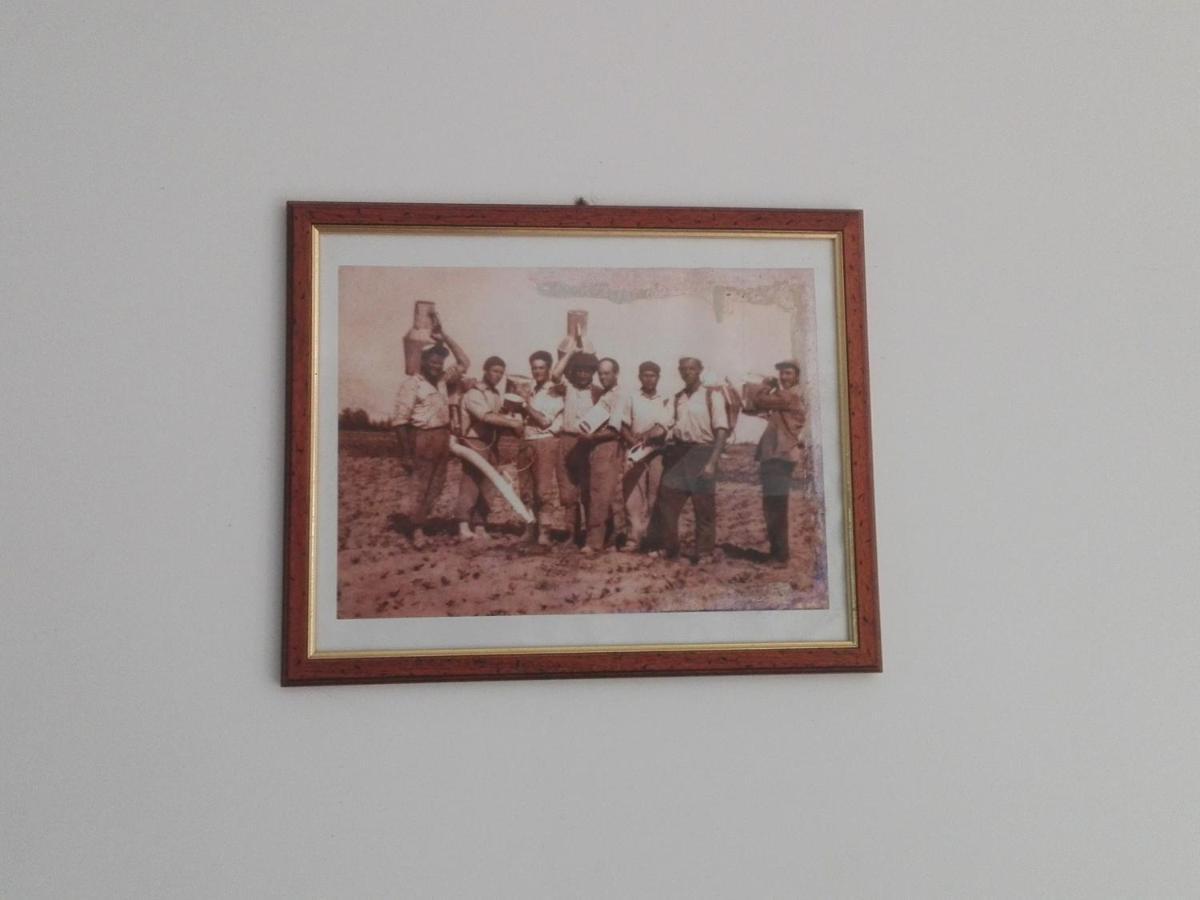 Palacca, Trullo Salentino อันดราโน ภายนอก รูปภาพ