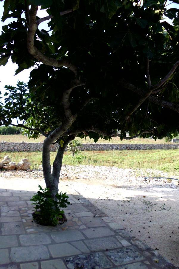 Palacca, Trullo Salentino อันดราโน ภายนอก รูปภาพ