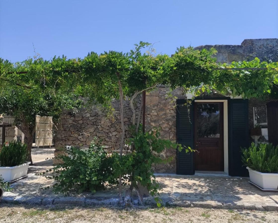 Palacca, Trullo Salentino อันดราโน ภายนอก รูปภาพ