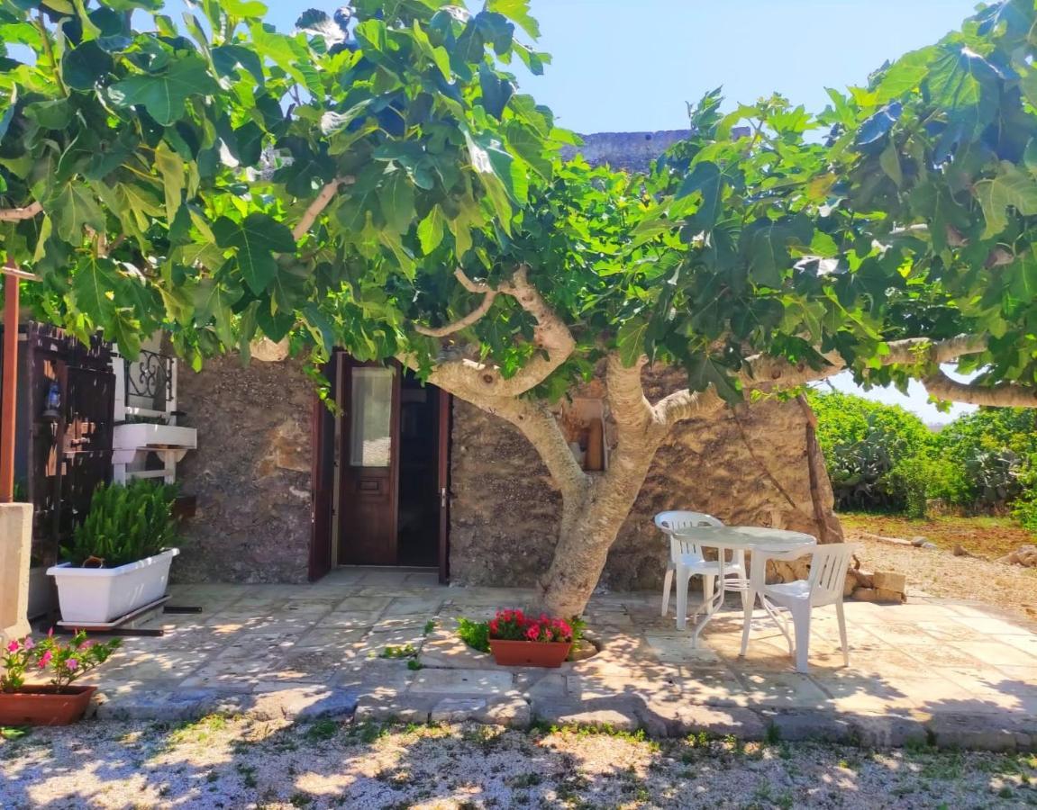 Palacca, Trullo Salentino อันดราโน ภายนอก รูปภาพ