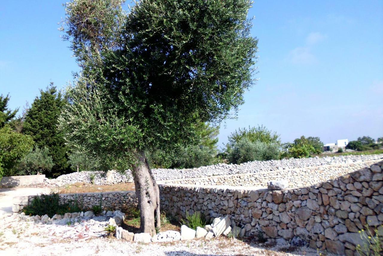 Palacca, Trullo Salentino อันดราโน ภายนอก รูปภาพ