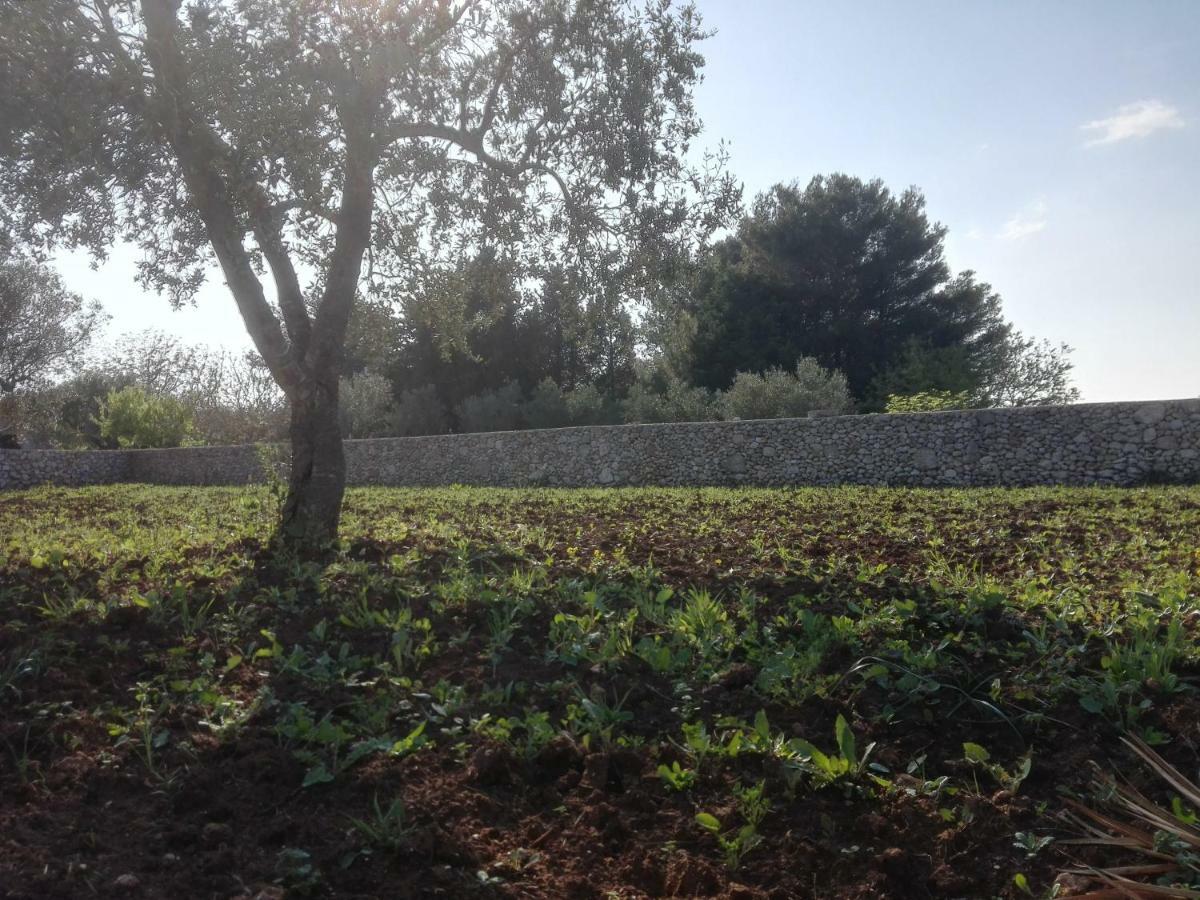 Palacca, Trullo Salentino อันดราโน ภายนอก รูปภาพ